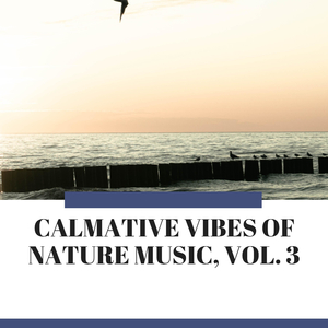 White Noise Thunder Sound