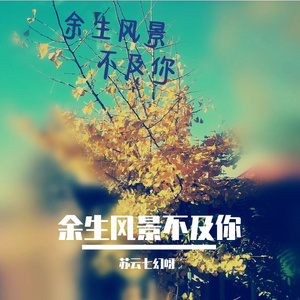 余生风景不及你