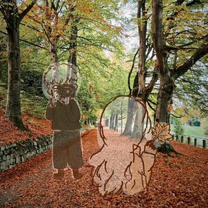 这是有落叶的秋天