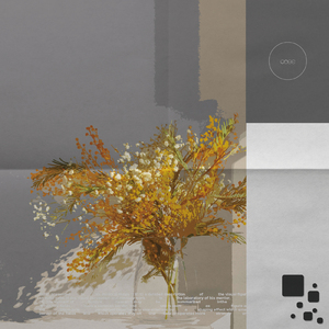 TRINITY FREAKS (feat. DOSHA)