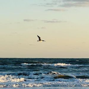 海风，浪潮，随它们而去的