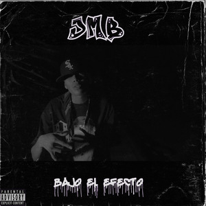 Bajo el Efecto