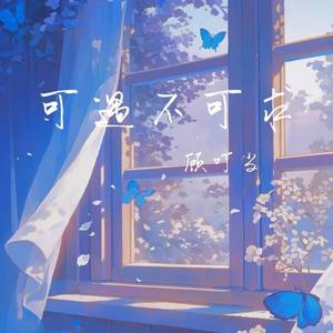 可遇不可求 (DJ版)