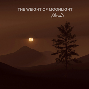 The Weight of Moonlight