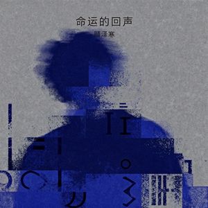 命运的回声