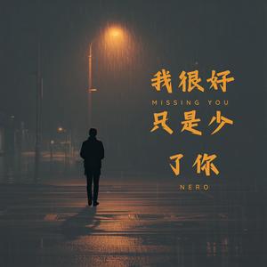 我很好，只是少了你 (missing you)