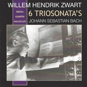 Trio-Sonate III in D-moll, BWV 527: III. Vivace