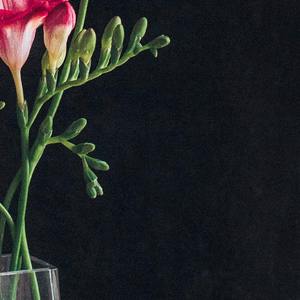 Notmyway_aimee.xy(4)