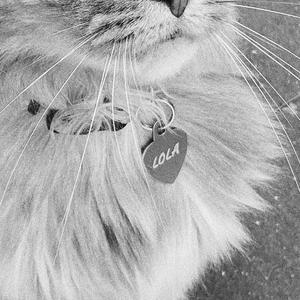 dead astronauts (demo)