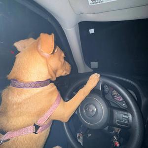 Going (feat. PBG Los & Day10)