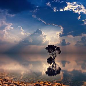 傍晚的风 (休息安静舒缓音乐)