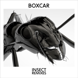 Insect (Racic Club Mix)