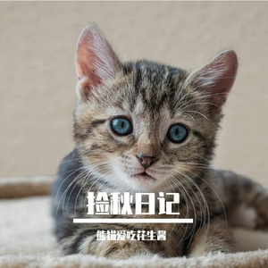 捡秋日记