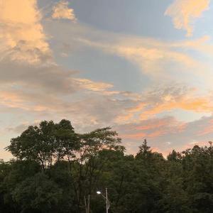 我为什么在人民广场吃炸鸡