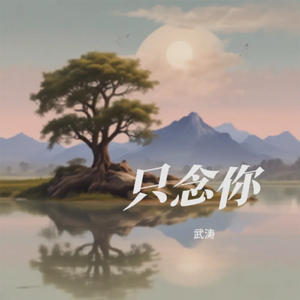 只念你