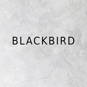 Blackbird