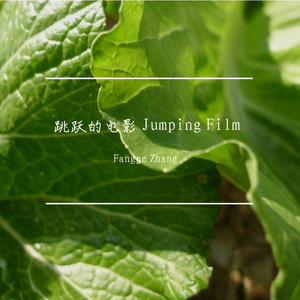 枕边日记 Pillow Diary