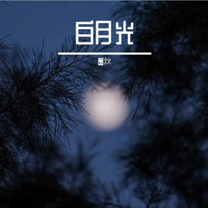 白月光
