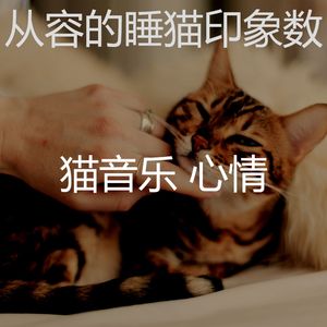 微妙的小猫心情