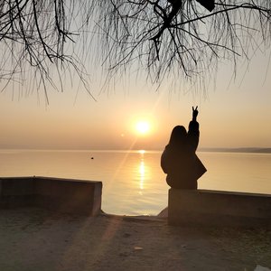 《西游金钱豹的心路》