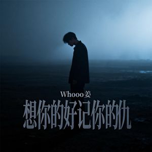 想你的好记你的仇(摇滚版)
