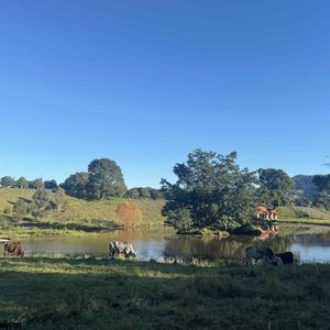 Saci Suta Das at New Govardhan (Live)