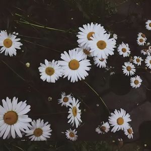 特别的人(男版)