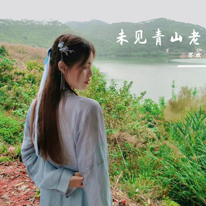 未见青山老