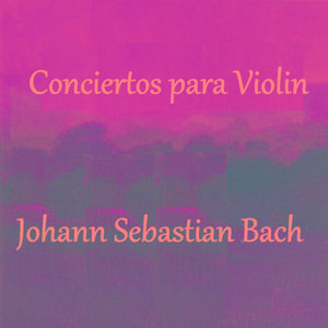 Violin Concerto in A Minor, BWV 1041: I. Allegro
