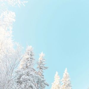 信风失约的港湾