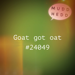 Goat got oat: 24049