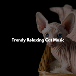 Dashing Music for Blissful Weeks