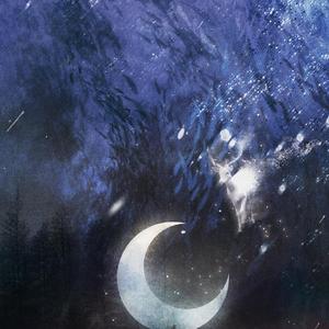 去追一只鹿（翻自 小时姑娘）（翻自 小时姑娘）