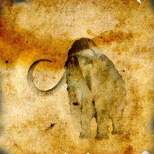 被激怒的猛犸象(片段)