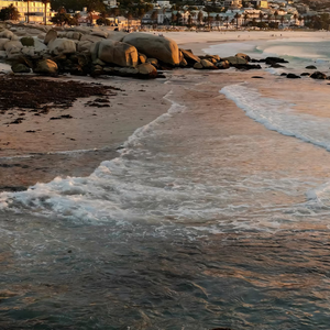 青山故人相逢缘