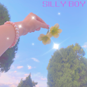 笨男孩（Silly boy）