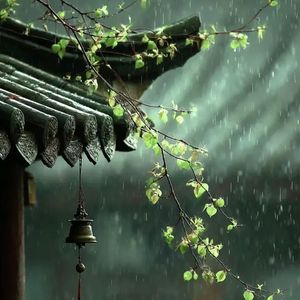 空山新雨（燃系古风）