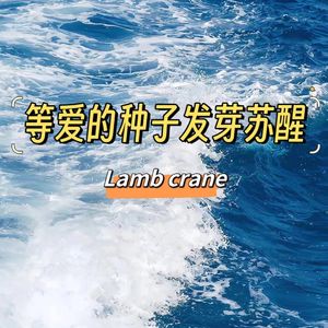 等爱的种子发芽苏醒（Prod.金桔0RANG3）