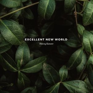 Excellent New World