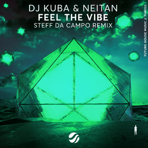 Feel The Vibe (Steff da Campo Remix)