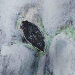 Dead Bird