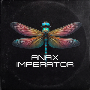 Anax Imperator