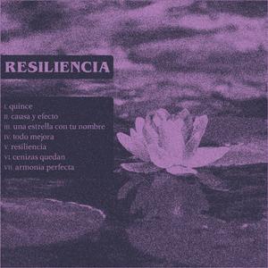 Resiliencia