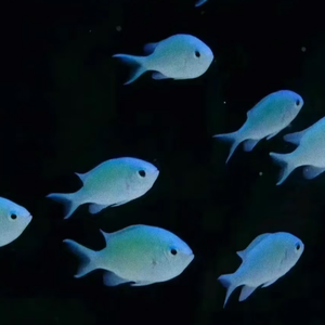 No such thing as heaven(demo)