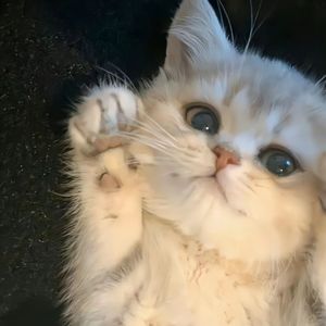 未发送的便签诗