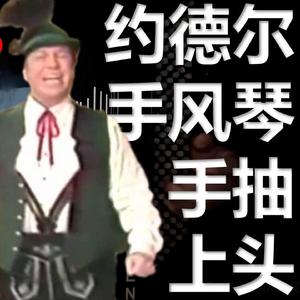 【手风琴】Auf und auf voll Lebenslust