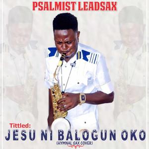 Jesu ni balogun oko