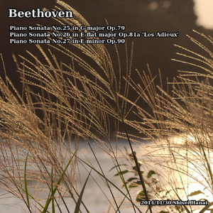 Piano Sonata No. 25 in G Major, Op. 79: II. Andante