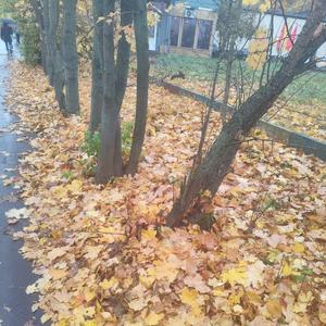 Autumn is bank (Funkey)