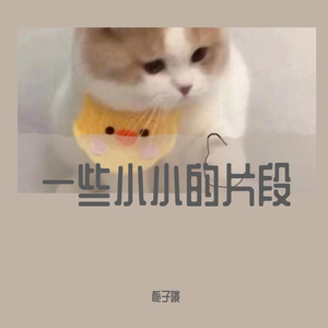 大概是我的热爱